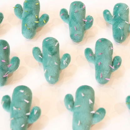Cactus Plush Pin